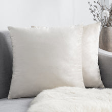 Carregar imagem no visualizador da galeria, Home Textiles Pure Color Velvet Holland Velvet Throw PillowCase