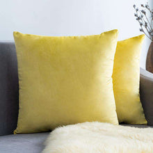 Carregar imagem no visualizador da galeria, Home Textiles Pure Color Velvet Holland Velvet Throw PillowCase