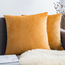 Carregar imagem no visualizador da galeria, Home Textiles Pure Color Velvet Holland Velvet Throw PillowCase