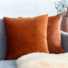 Carregar imagem no visualizador da galeria, Home Textiles Pure Color Velvet Holland Velvet Throw PillowCase