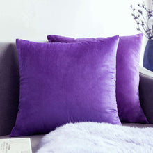 Carregar imagem no visualizador da galeria, Home Textiles Pure Color Velvet Holland Velvet Throw PillowCase