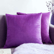 Carregar imagem no visualizador da galeria, Home Textiles Pure Color Velvet Holland Velvet Throw PillowCase