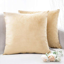 Carregar imagem no visualizador da galeria, Home Textiles Pure Color Velvet Holland Velvet Throw PillowCase