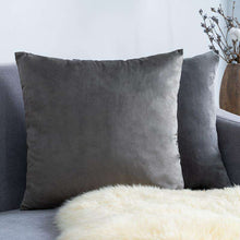 Carregar imagem no visualizador da galeria, Home Textiles Pure Color Velvet Holland Velvet Throw PillowCase