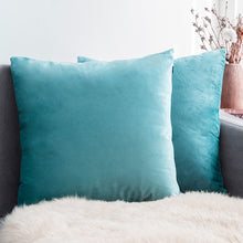 Carregar imagem no visualizador da galeria, Home Textiles Pure Color Velvet Holland Velvet Throw PillowCase