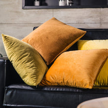 Carregar imagem no visualizador da galeria, Home Textiles Pure Color Velvet Holland Velvet Throw PillowCase