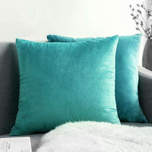 Carregar imagem no visualizador da galeria, Home Textiles Pure Color Velvet Holland Velvet Throw PillowCase