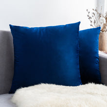Carregar imagem no visualizador da galeria, Home Textiles Pure Color Velvet Holland Velvet Throw PillowCase