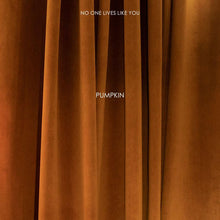 将图片加载到图库查看器,Light luxury velvet curtains Hermes orange velvet fabric