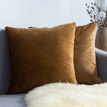 Carregar imagem no visualizador da galeria, Home Textiles Pure Color Velvet Holland Velvet Throw PillowCase