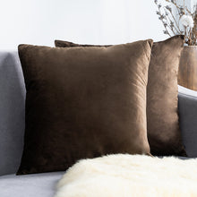 Carregar imagem no visualizador da galeria, Home Textiles Pure Color Velvet Holland Velvet Throw PillowCase