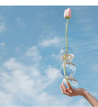 Cargar imagen en el visor de la galería, Bubble vase ins colored decoration transparent hydroponic