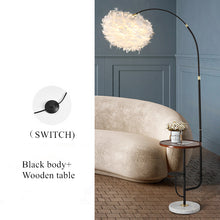 Carregar imagem no visualizador da galeria, Modern living /bedroom wireless feather floor lamp
