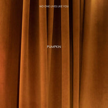 将图片加载到图库查看器，Light luxury velvet curtains Hermes orange velvet fabric
