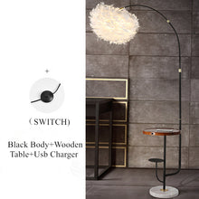 Cargar imagen en el visor de la galería, Modern living /bedroom wireless feather floor lamp
