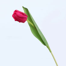 Charger l&#39;image dans la galerie, Feel moisturizing tulip simulation flower
