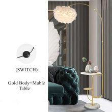 Carregar imagem no visualizador da galeria, Modern living /bedroom wireless feather floor lamp
