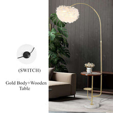 Charger l&#39;image dans la galerie, Modern living /bedroom wireless feather floor lamp
